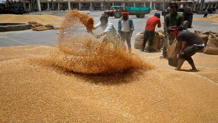 Why India is trying to tame rising wheat prices