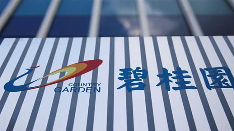 JPM warns of higher risk for Chinese REITs after Country Garden's troubles