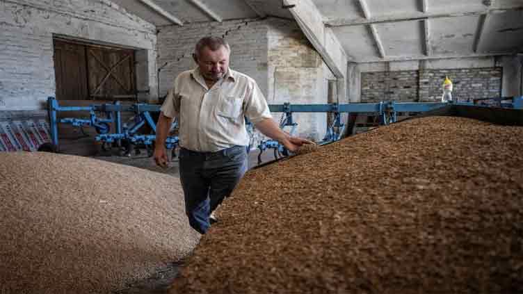 Ukraine's frontline farmers face Russian rockets and rock-bottom prices