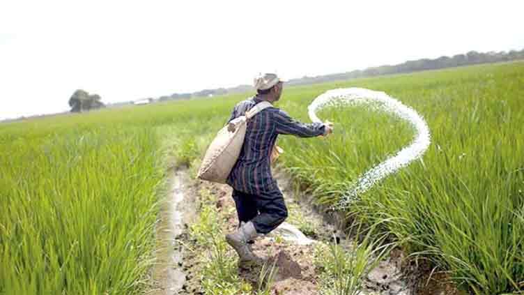 Will urea prices go down to reduce production cost as Pakistan faces record food inflation?   