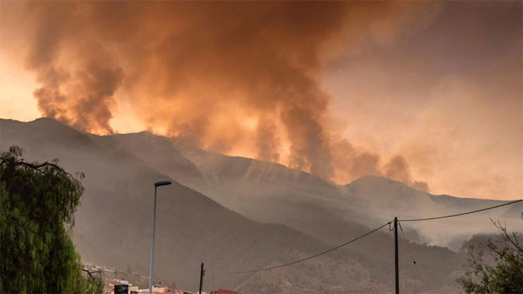 Thousands flee wildfire on Spain's Tenerife island