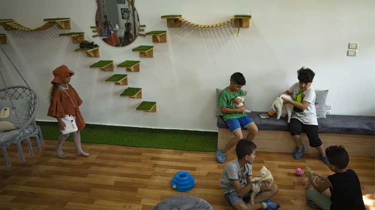 The Gaza Strip gets its first cat cafe, a cozy refuge from life under blockade