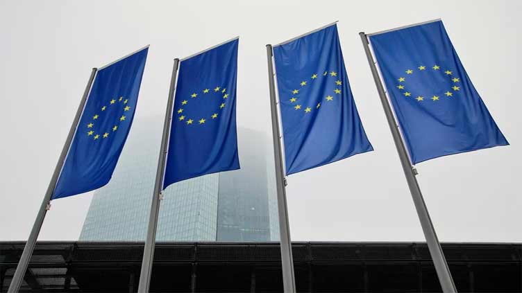 ECB to write to Italy raising objections over windfall tax on banks - press