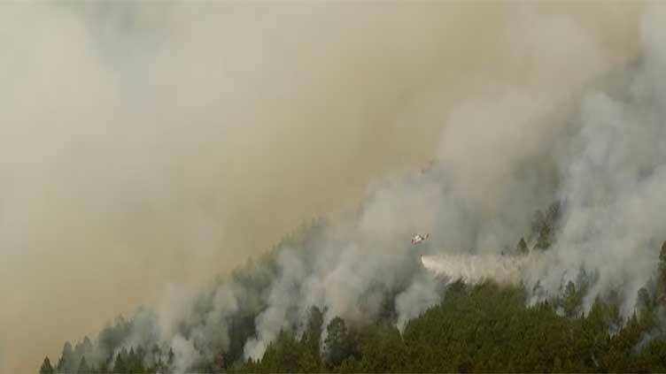 Anguish, anger as Tenerife evacuees can't see homes beyond smoke