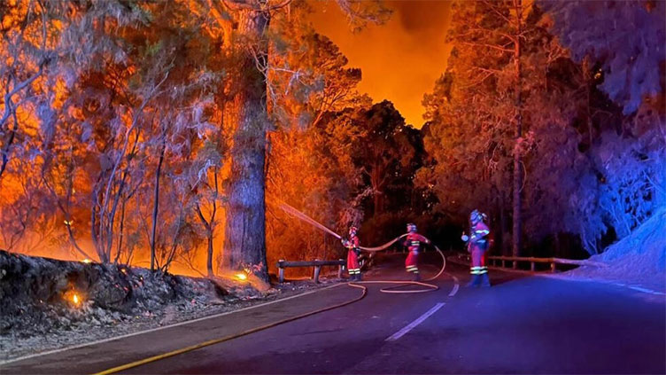 Spain firefighters make gains in battle against Tenerife blaze