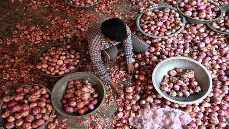 India imposes 40pc export duty on onions to calm rising prices
