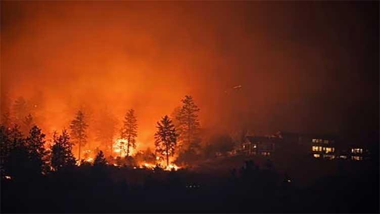 How airlines cope with price surge during disasters