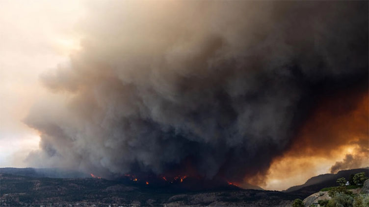 Milder weather brings relief from 'apocalyptic' Canada wildfires