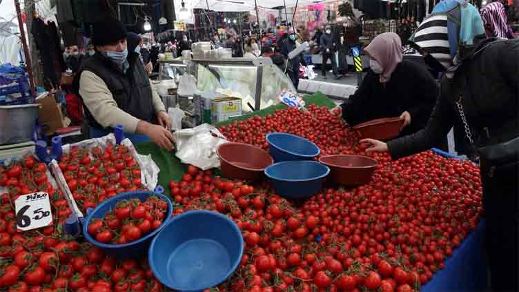 Turkiye's interest rate likely to reach 20pc this week, HSBC predicts it will be 30pc by Dec