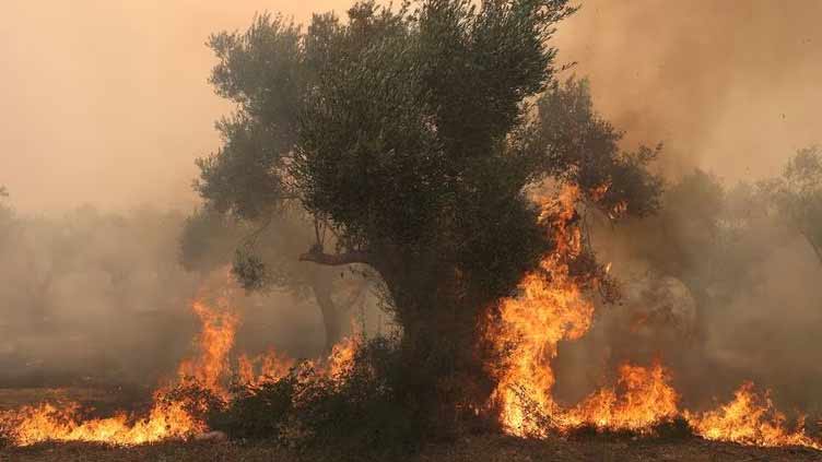 Wildfires rage in Greece, Spain and Italy as heatwave spreads