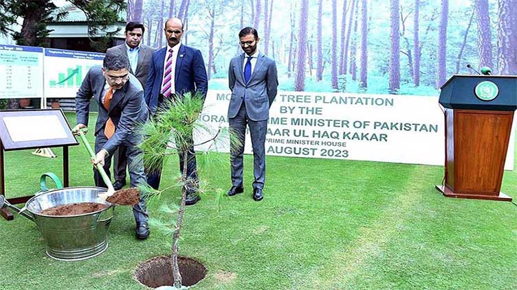 PM Kakar launches monsoon tree plantation campaign