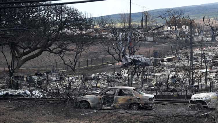 Hawaii county sues power company over deadly wildfires