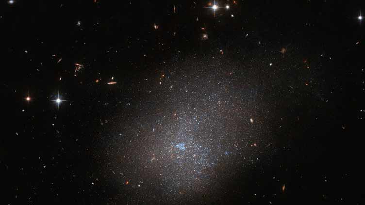 Hubble sees a sparkling neighbor galaxy