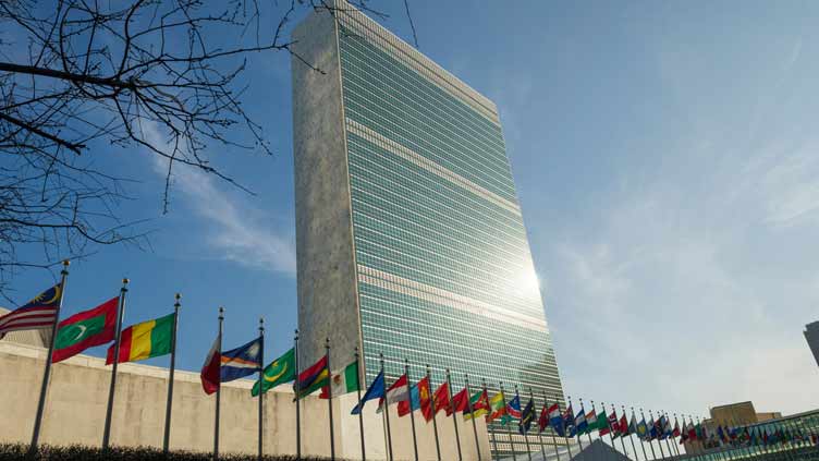 UN adopts Pakistan-backed resolution declaring Jan 26 as clean energy day