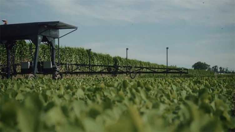 Brazil robot helps farmers scout, spray and protect crops, developer says