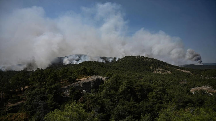 Greece blaze is 'largest wildfire ever recorded in EU'