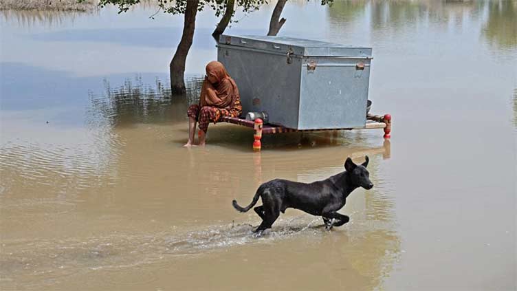 Floods drown hope in Pakistan's impoverished Punjab villages