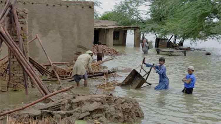 Sutlej continues wreaking havoc along its path