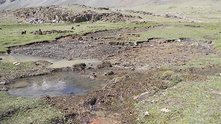 Study calls for conservation of Broghil Valley peatlands