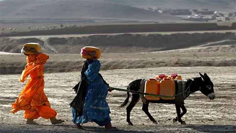 Afghanistan excluded from COP28 as climate impacts hit homeAfghanistan excluded from COP28 as climate impacts hit home