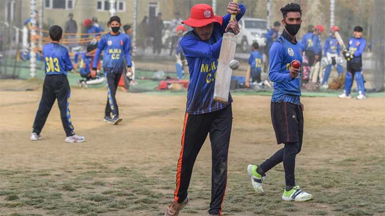 'Crazy for cricket': Young Afghans inspired by national team's success