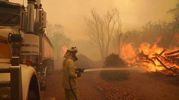 Australia swelters through heat wave as firefighters battle bushfires