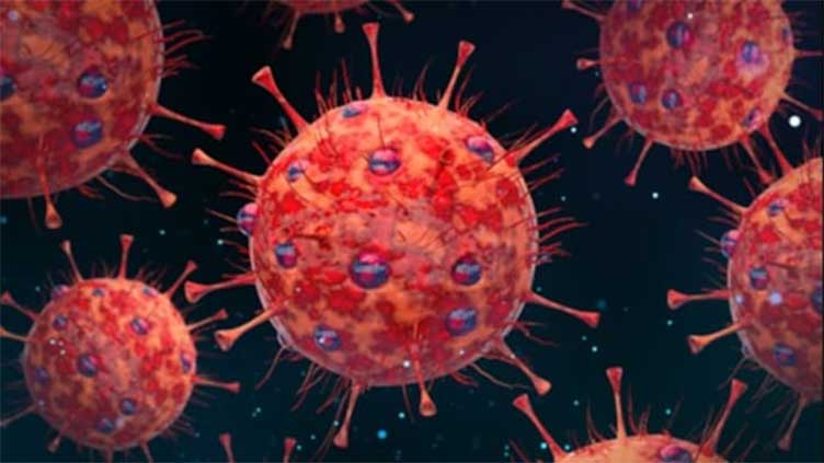 New coronavirus variant JN1 detected