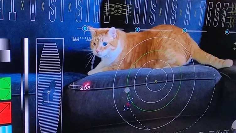 Nasa beams cat video from deep space with laser