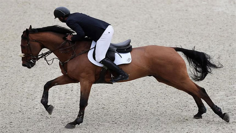 No Russian, Belarusian equestrians in Paris 2024, says FEI