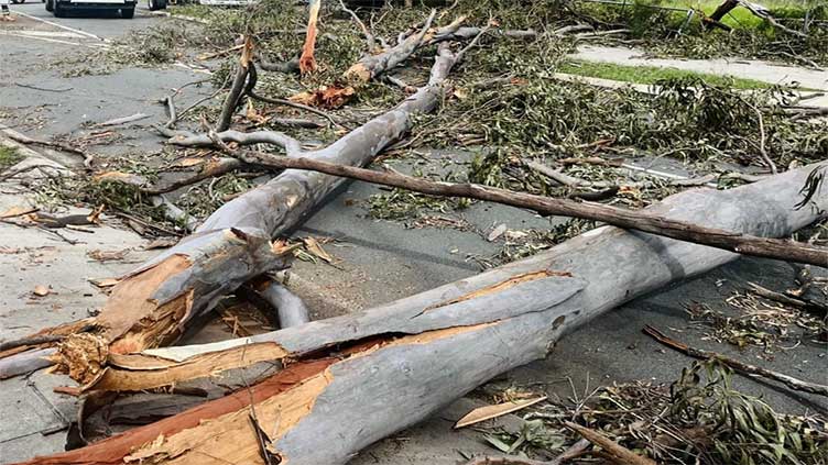 Ten dead in Australia thunderstorms, thousands without power