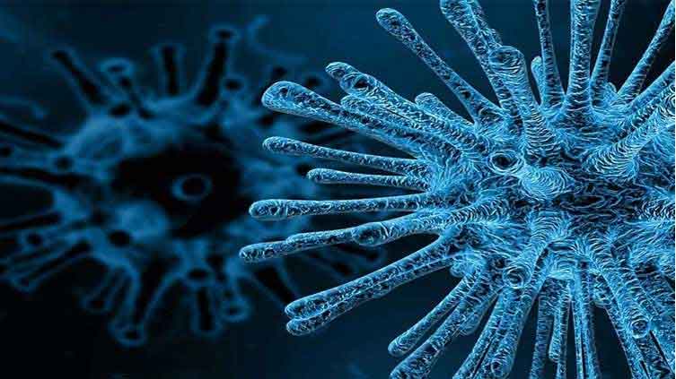 Poliovirus found in four environmental samples