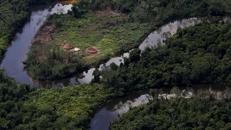 Brazil readies task force to expel miners from Yanomami lands