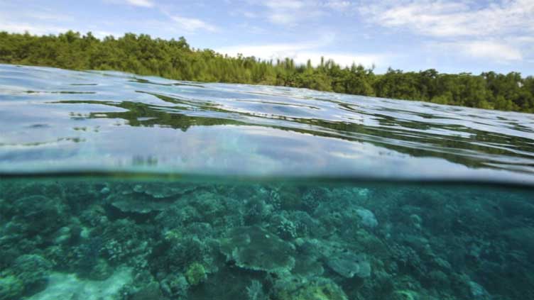  Indonesian islanders file Holcim climate complaint