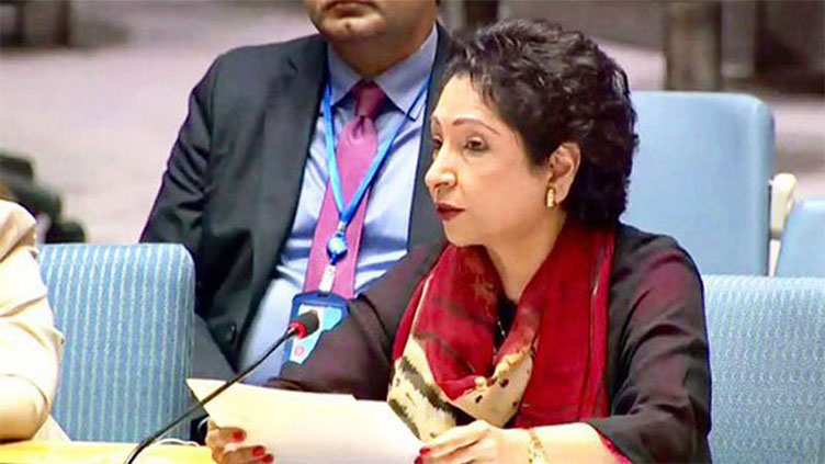 Governance, not the state has failed: Maleeha Lodhi