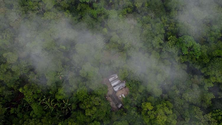 Lula's Amazon pledge looks distant as Brazil battles deforestation