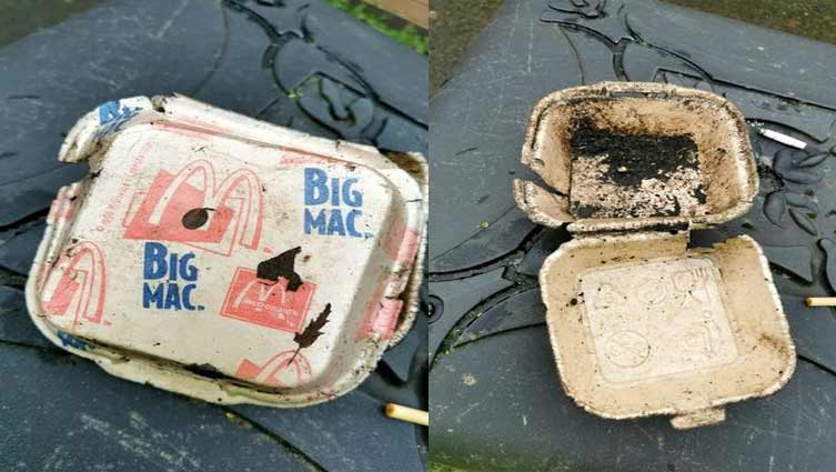 30-year-old Big Mac carton remains intact after being dumped in bush