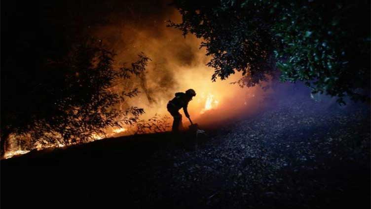Chile widens catastrophe zone as fires burn some 8,000 hectares