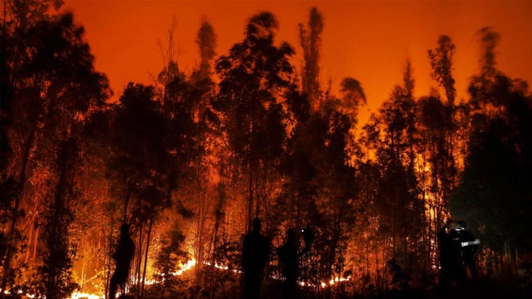 Chileans who survived deadly forest fire fear flames will return