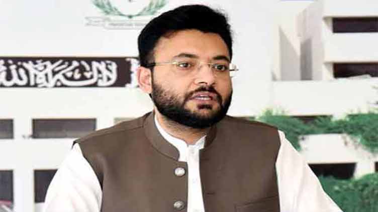 Party has not taken final decision on attending APC: Farrukh Habib