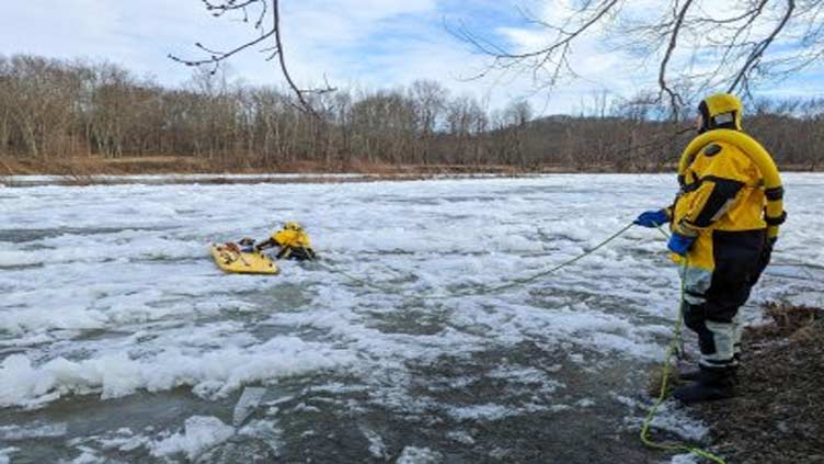 Dog rescued after falling through ice on New York river