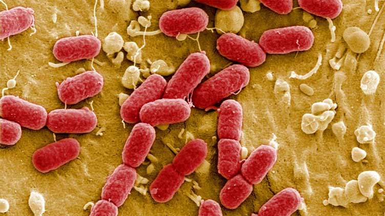  Harmful pollution boosting superbug 'silent pandemic'