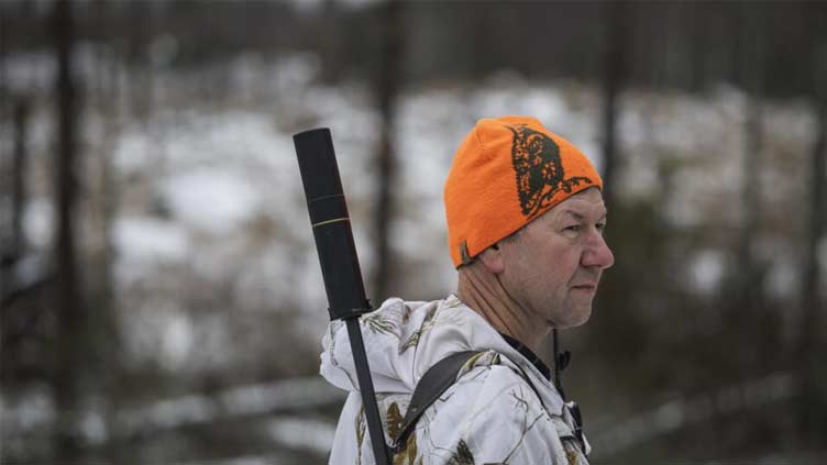 Emotions run high in Sweden's biggest wolf hunt