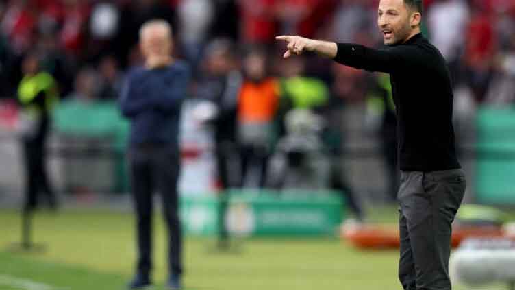 Tedesco named Belgium national football coach