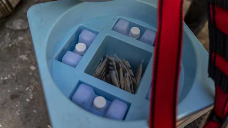  Cholera kills over 1,200 in Malawi: WHO