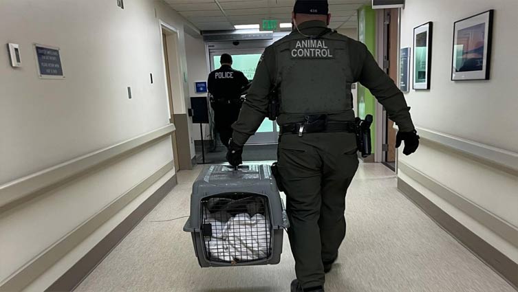 Coyote runs through Washington state hospital