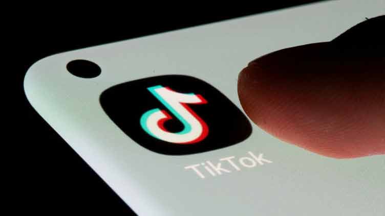 French Senate to open commission of inquiry into TikTok