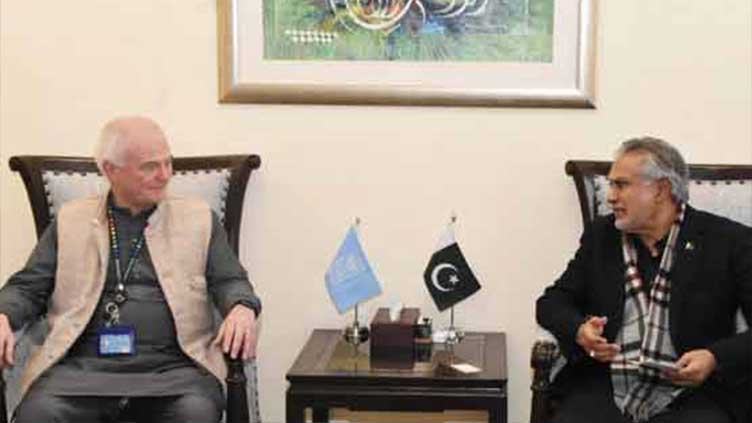 UNDP representative calls on Ishaq Dar