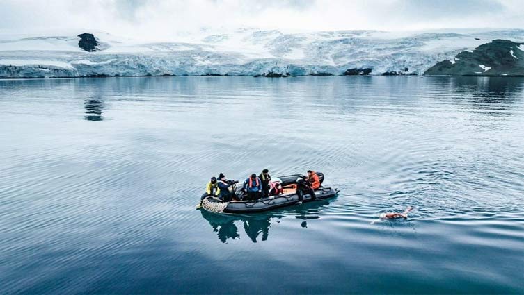Chilean woman becomes first to swim 1.55 miles in Antarctica