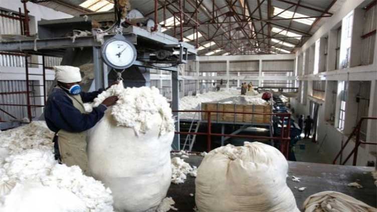 Encouraging cotton growing helps excel textile industry