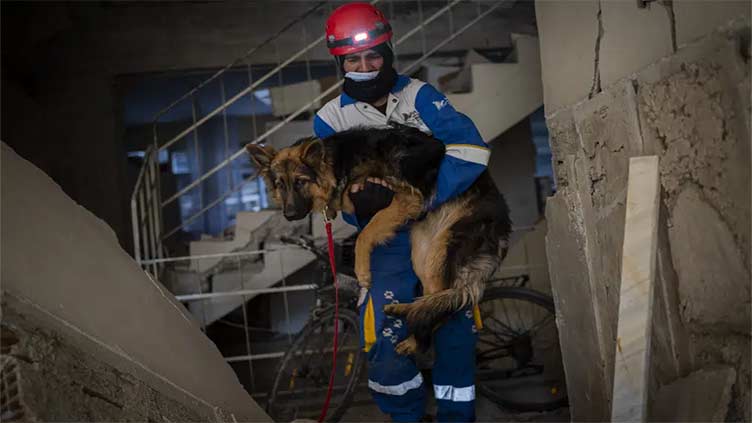 Amid quake's devastation, parallel rescue bid targets pets